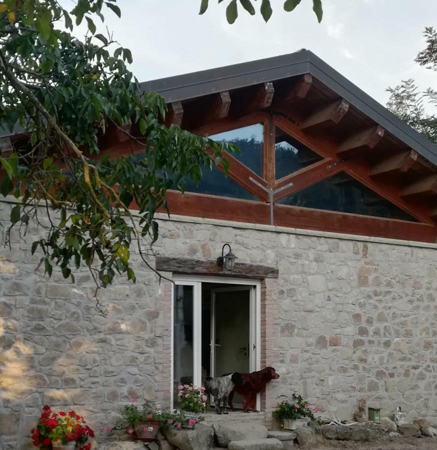 Monte Termine Country House Bed & Breakfast Rioveggio Exterior photo