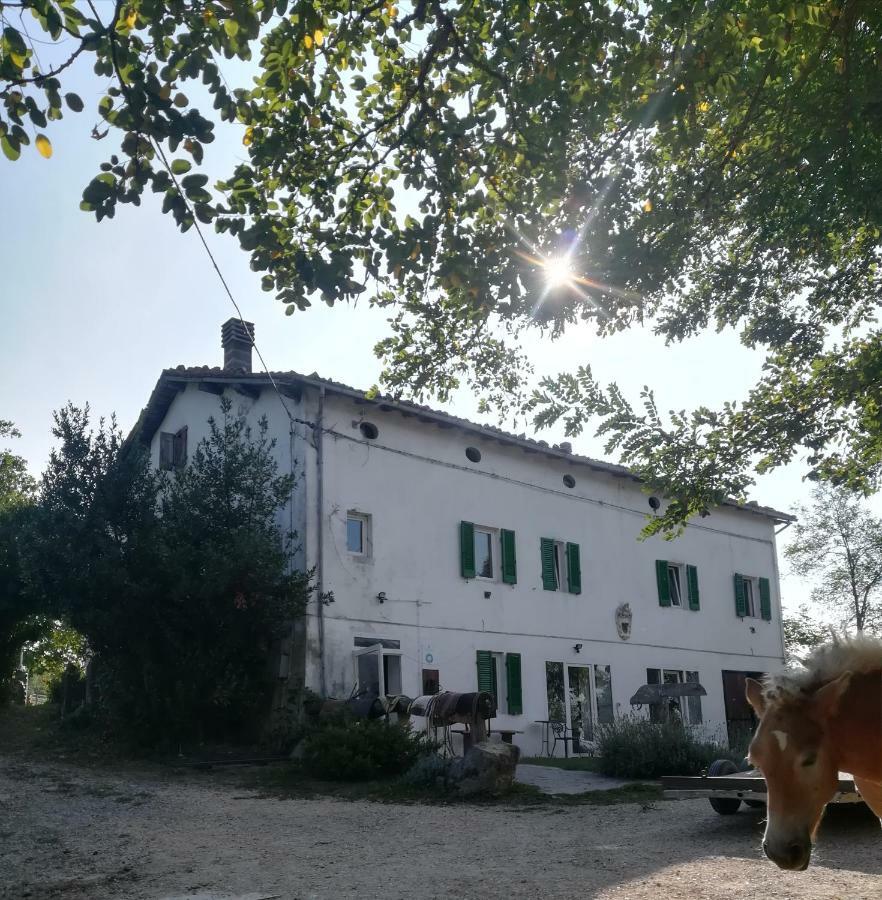 Monte Termine Country House Bed & Breakfast Rioveggio Exterior photo